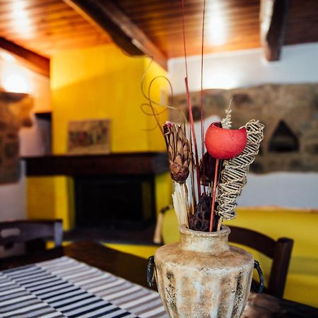 Agriturismo Il Noce 카스틸리오니도르시아 외부 사진