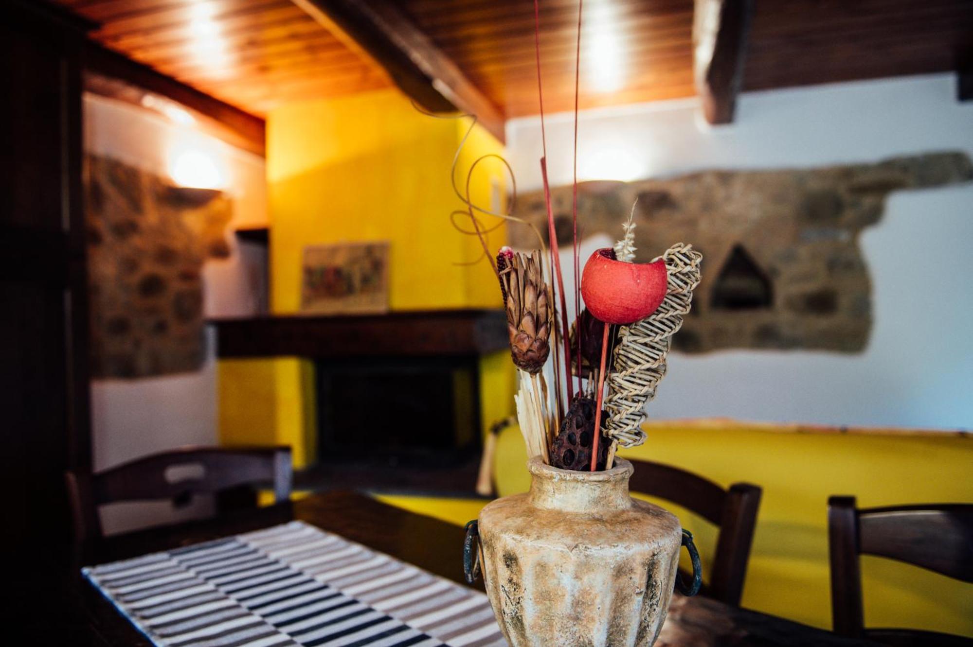 Agriturismo Il Noce 카스틸리오니도르시아 외부 사진